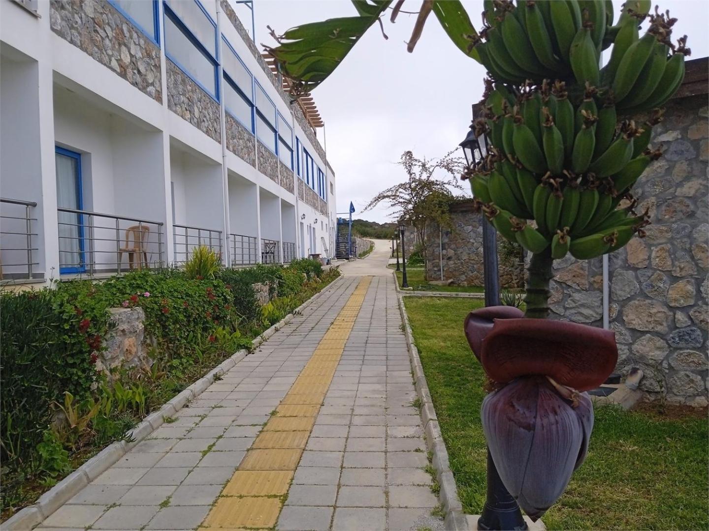 Ardic Agaci Holiday Village Famagusta  Exteriör bild