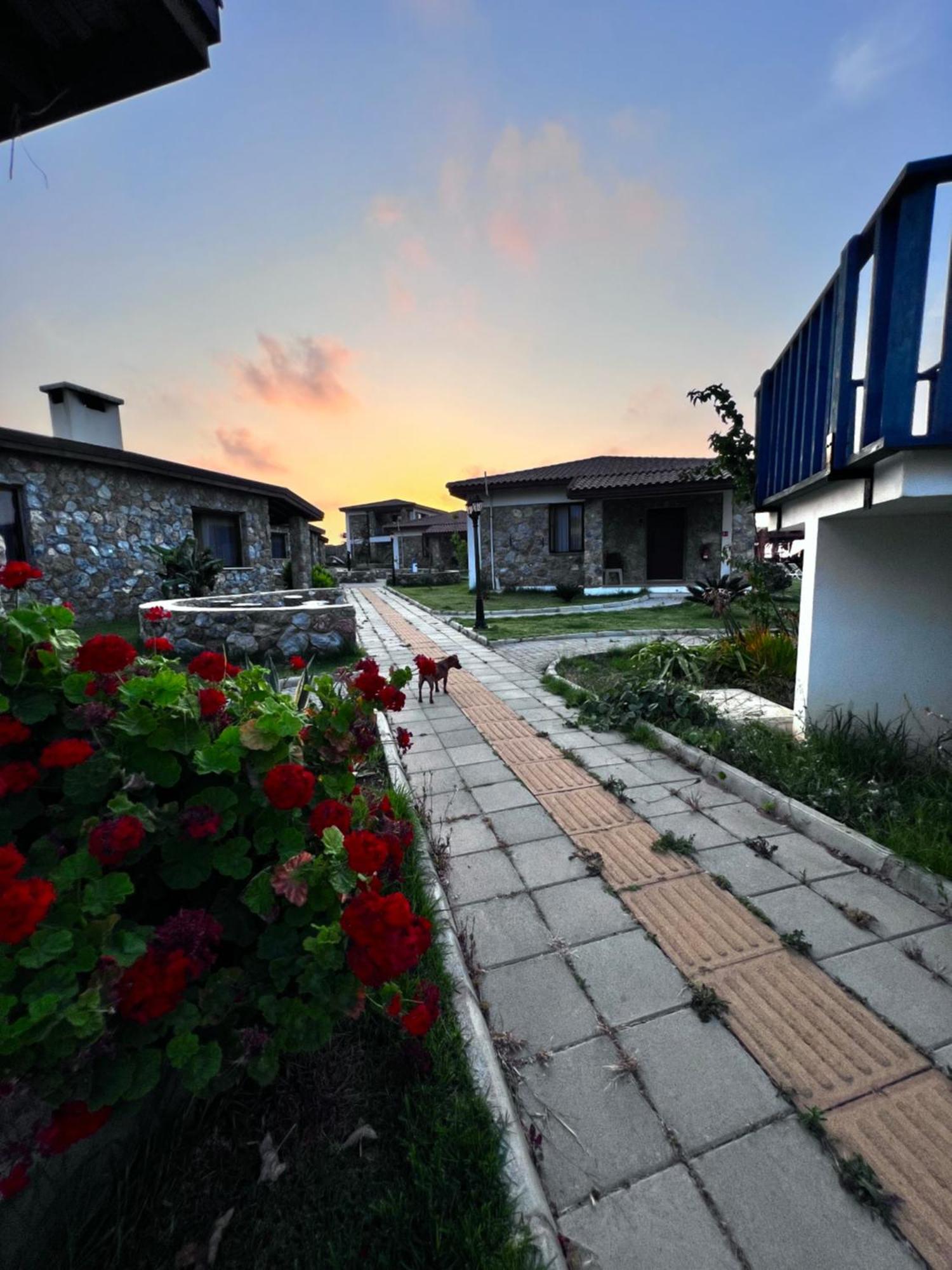 Ardic Agaci Holiday Village Famagusta  Exteriör bild
